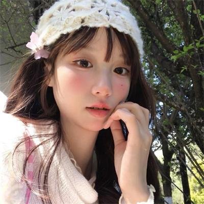 双面骗子虚假警察第二季